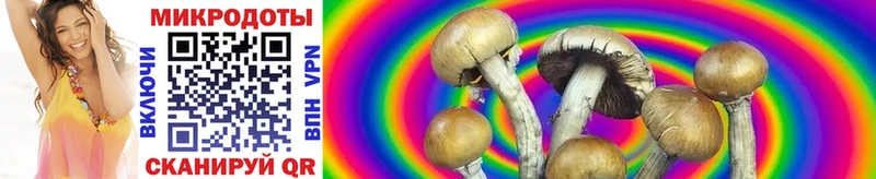 Псилоцибиновые грибы ЛСД  где купить   Иркутск 